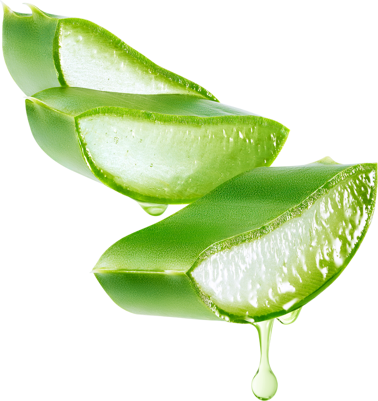 Aloe vera gel dripping from aloe vera slice